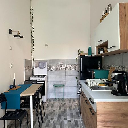 Small Apartment - Historic House 克卢日-纳波卡 外观 照片