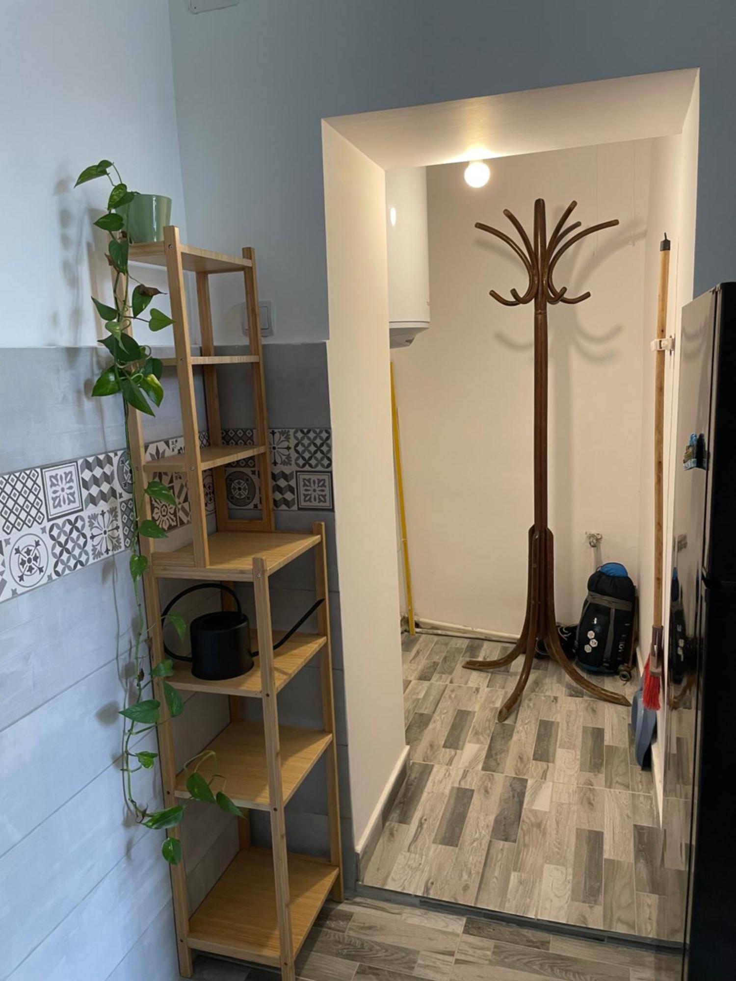 Small Apartment - Historic House 克卢日-纳波卡 外观 照片