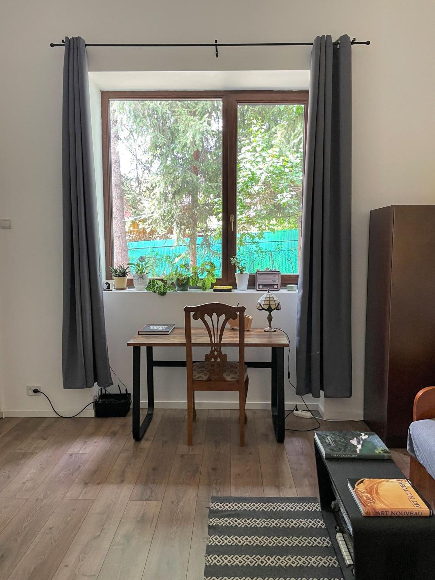 Small Apartment - Historic House 克卢日-纳波卡 外观 照片