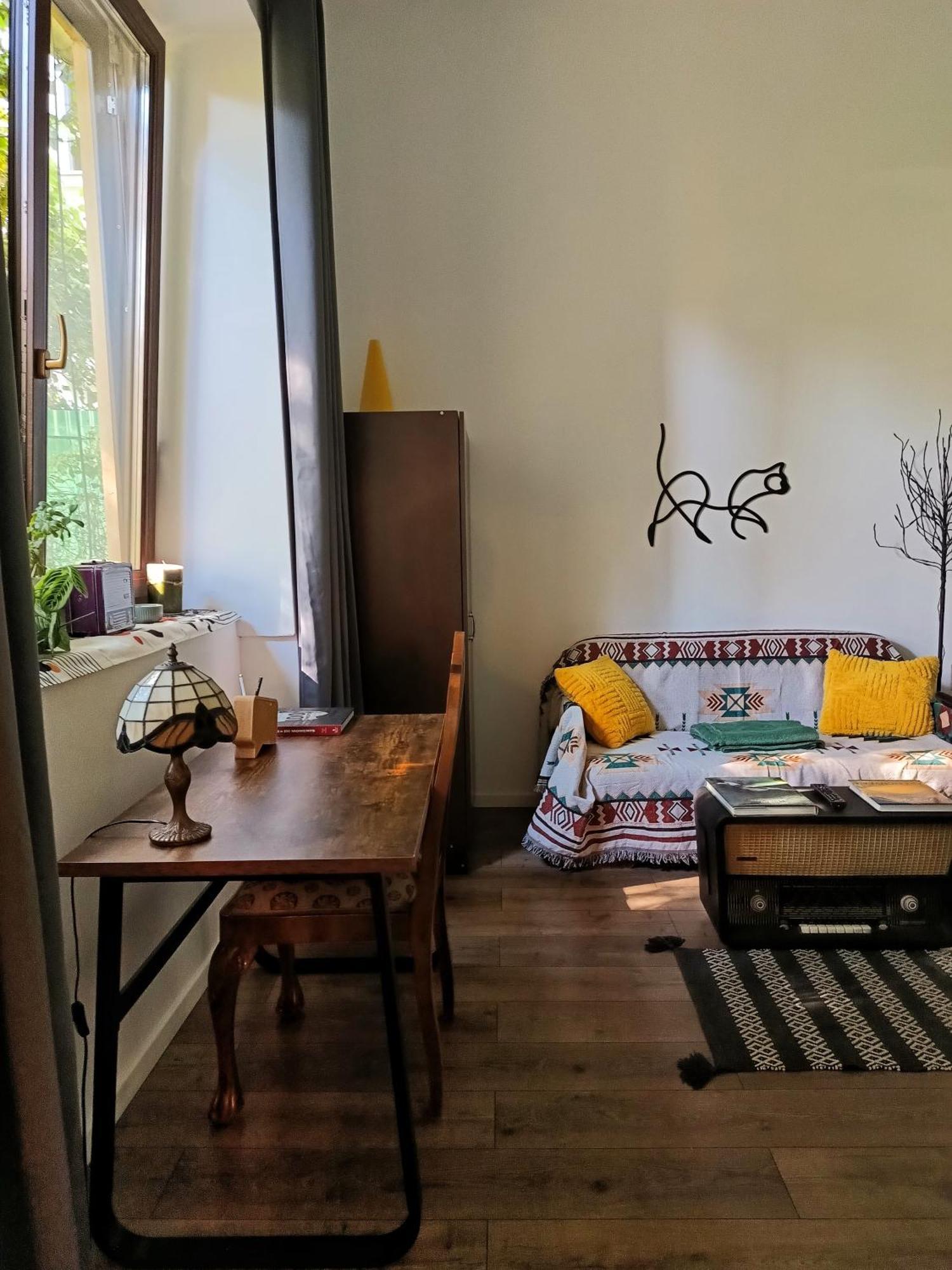 Small Apartment - Historic House 克卢日-纳波卡 外观 照片