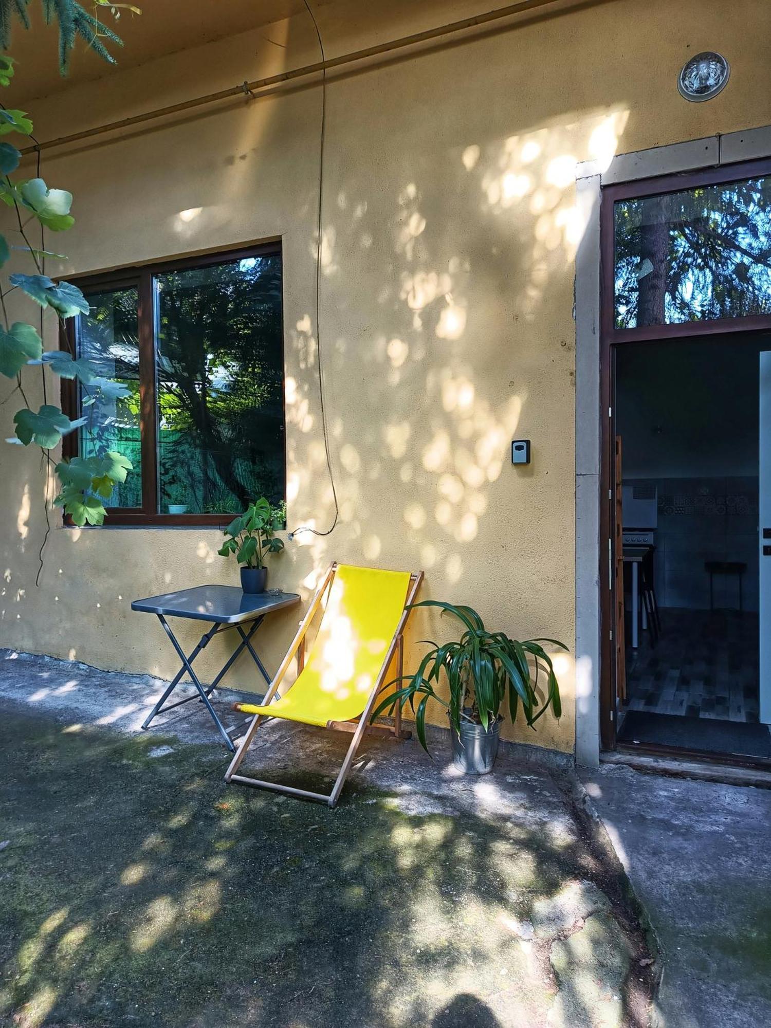 Small Apartment - Historic House 克卢日-纳波卡 外观 照片